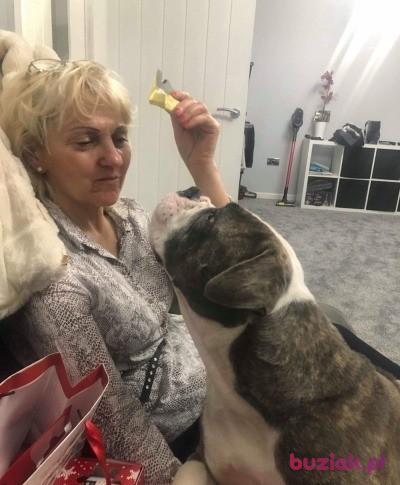 Elzbieta, Female, 63, Szczecin, Polska, Photo: 5