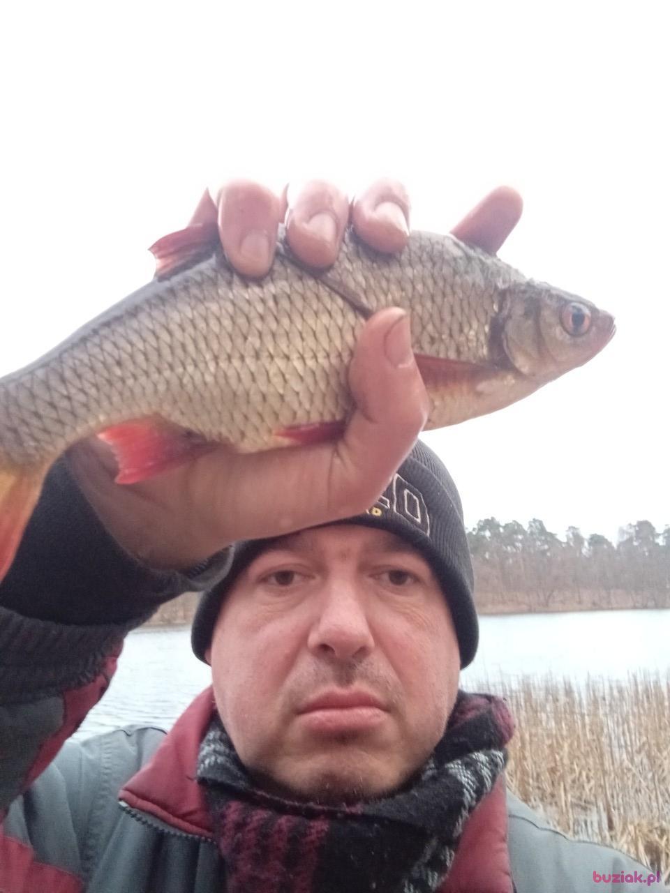 Adrian, Male, 46, Włocławek, Polska, Photo: 2