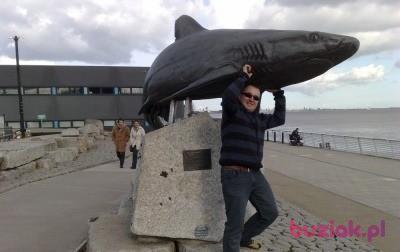 Paweł, Male, 48, Doncaster, Wielka Brytania, Photo: 2
