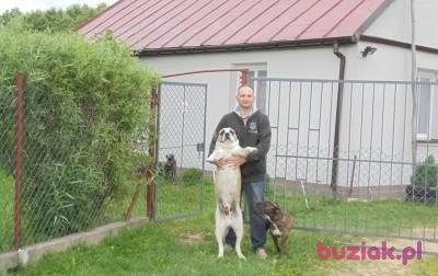 wojtek, Male, 50, Warszawa, Polska, Photo: 3