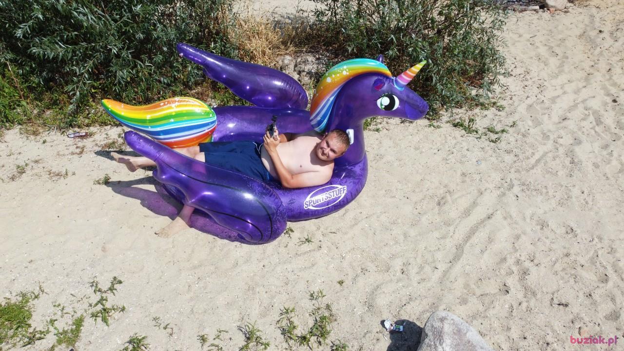 Michał, Mężczyzna, 37, Zgierz, Polska, Zdjęcie: 245