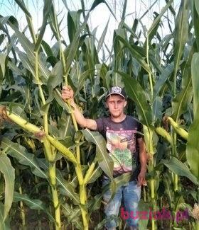 Adam, Male, 33, Żory, Polska, Photo: 4