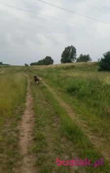 lelesio, Male, 56, Gorzów Wielkopolski, Polska, Photo: 2