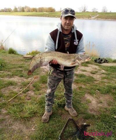 Robert, Male, 51, Wrocław, Polska, Photo: 5