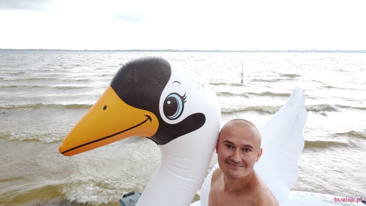 Michał, Mężczyzna, 37, Zgierz, Polska, Zdjęcie: 527