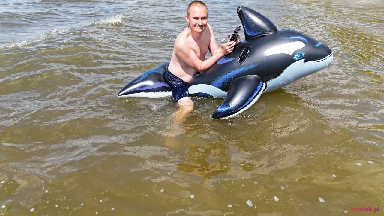 Michał, Mężczyzna, 37, Zgierz, Polska, Zdjęcie: 726
