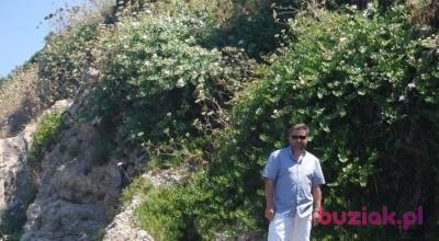 Wojciech, Male, 56, Mikołów, Polska, Photo: 3