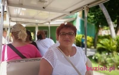 Elżbieta, Kobieta, 73, Ostrołęka, Polska, Zdjęcie: 3