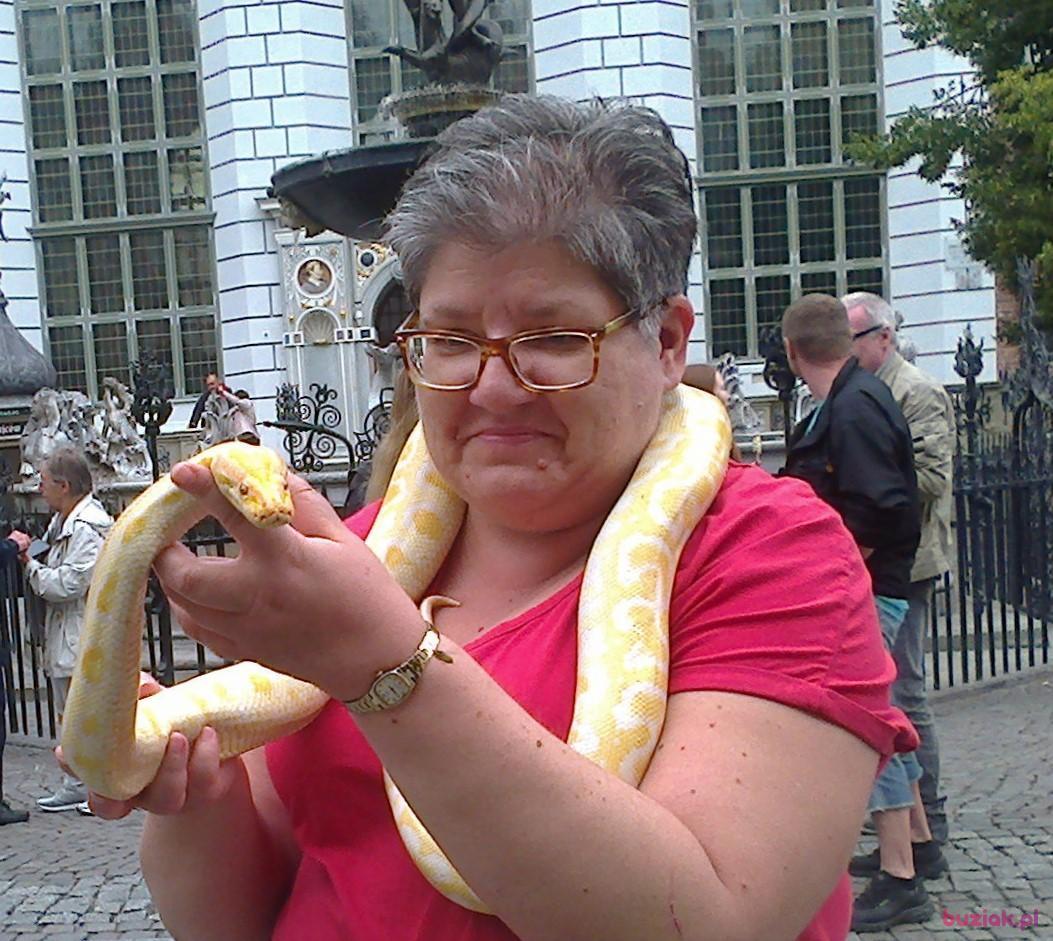 Izabela, Kobieta, 58, Gliwice, Polska, Zdjęcie: 2
