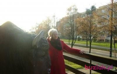 dana1395, Female, 76, Bartoszyce, Polska, Photo: 3