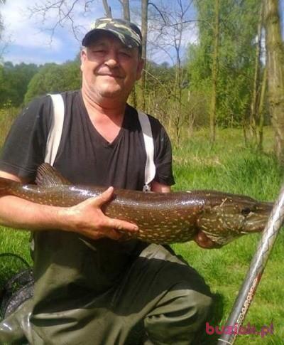 Józef , Male, 67, Siemianowice Śląskie, Polska, Photo: 1