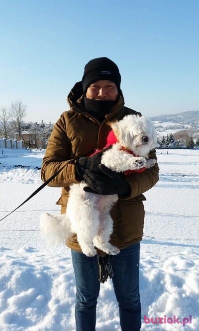 Kkoo , Male, 50, Westminster, Wielka Brytania, Photo: 2