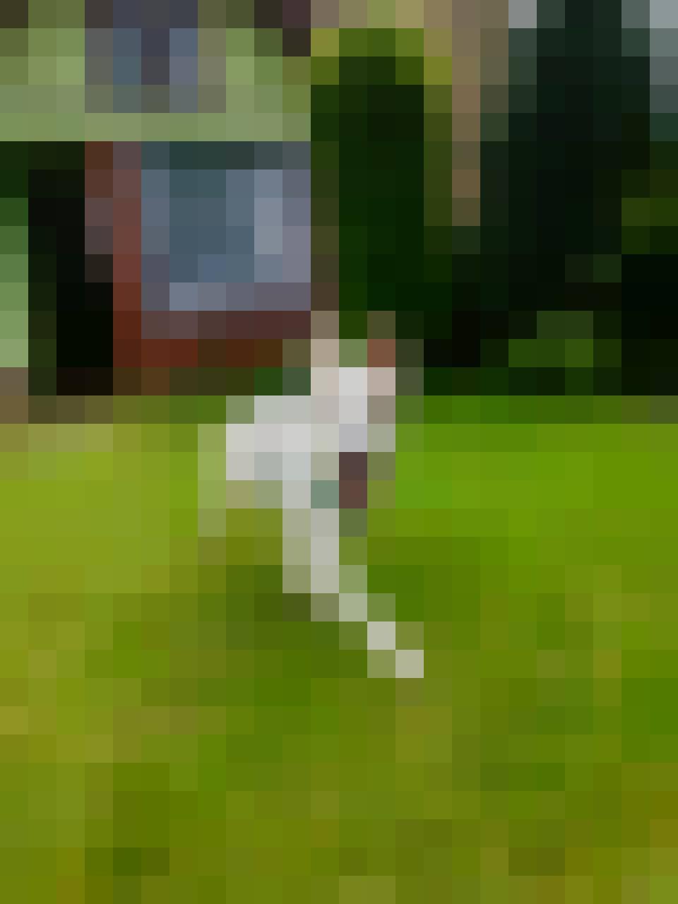 Adam, Male, 62, Wieluń, Polska, Photo: 7