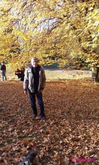 janusz, Mężczyzna, 75, Szczecin, Polska, Zdjęcie: 4