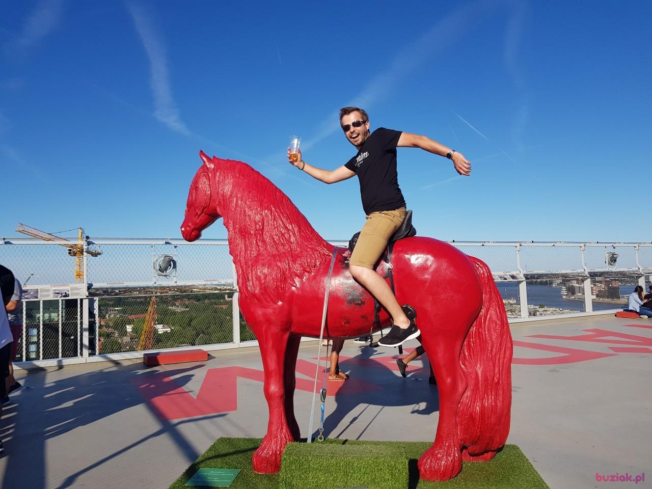 Daniel, Male, 42, Wakefield, Wielka Brytania, Photo: 2