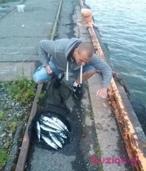 Marek, Mężczyzna, 36, Radom, Polska, Zdjęcie: 5