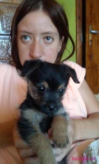 ania, Female, 36, Żywiec, Polska, Photo: 8