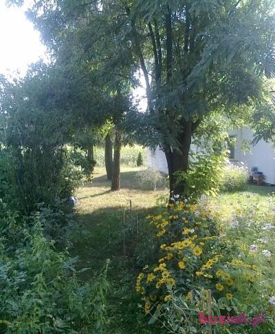 Tomek, Male, 37, Sierpc, Polska, Photo: 5
