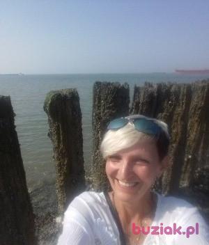 Ilona, Kobieta, 55, Rotterdam, Holandia, Zdjęcie: 4