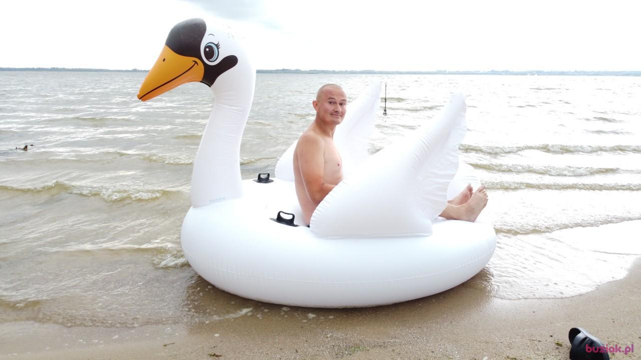 Michał, Mężczyzna, 37, Zgierz, Polska, Zdjęcie: 565