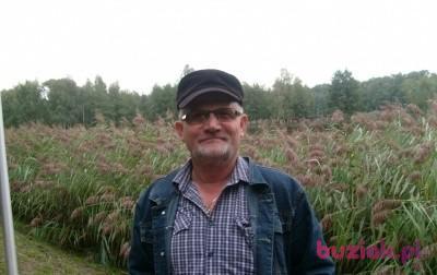 adam, Male, 69, Ostrów Wielkopolski, Polska, Photo: 2