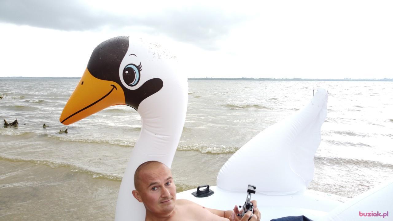 Michał, Mężczyzna, 37, Zgierz, Polska, Zdjęcie: 553