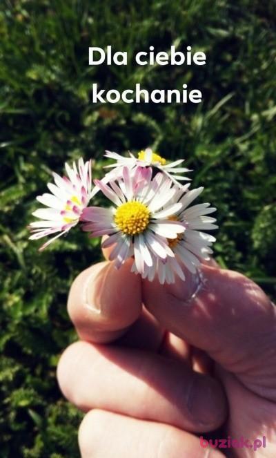 Adam, Male, 58, Gorzów Wielkopolski, Polska, Photo: 6