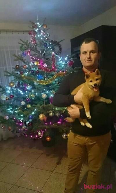 Rafał, Male, 37, Żychlin, Polska, Photo: 2