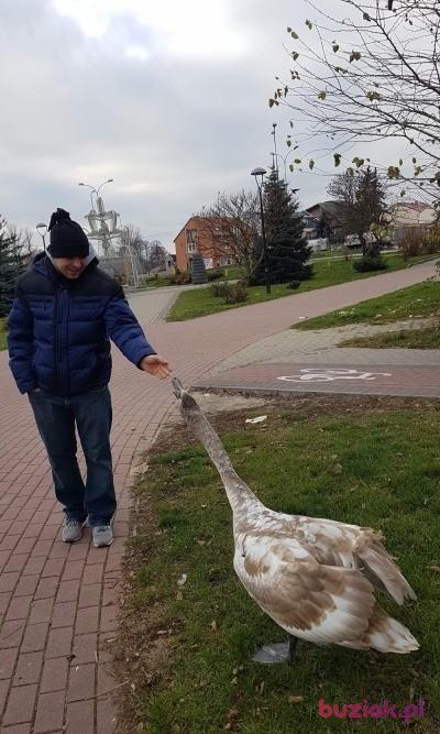 Jarosław, Male, 41, Zambrów, Polska, Photo: 2