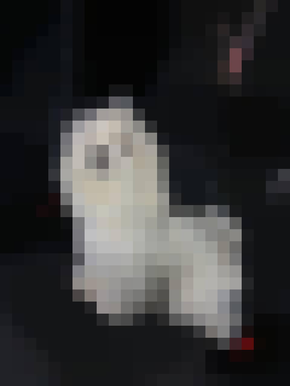 Slawek, Male, 53, Westminster, Wielka Brytania, Photo: 5