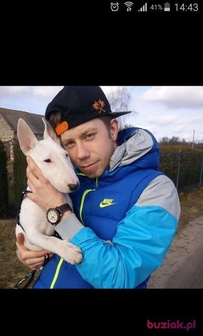 Mateusz, Mężczyzna, 34, Rotterdam, Holandia, Zdjęcie: 2