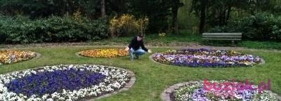 Paweł, Male, 39, Neuburg an der Donau, Niemcy, Photo: 6