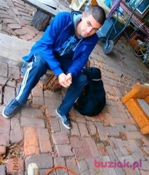 Sven1995, Male, 31, Lubin, Polska, Photo: 2