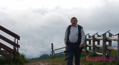 Stefan, Mężczyzna, 69, Zabrze, Polska, Zdjęcie: 3