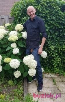 Sebroz, Male, 49, Haarlem, Holandia, Photo: 6