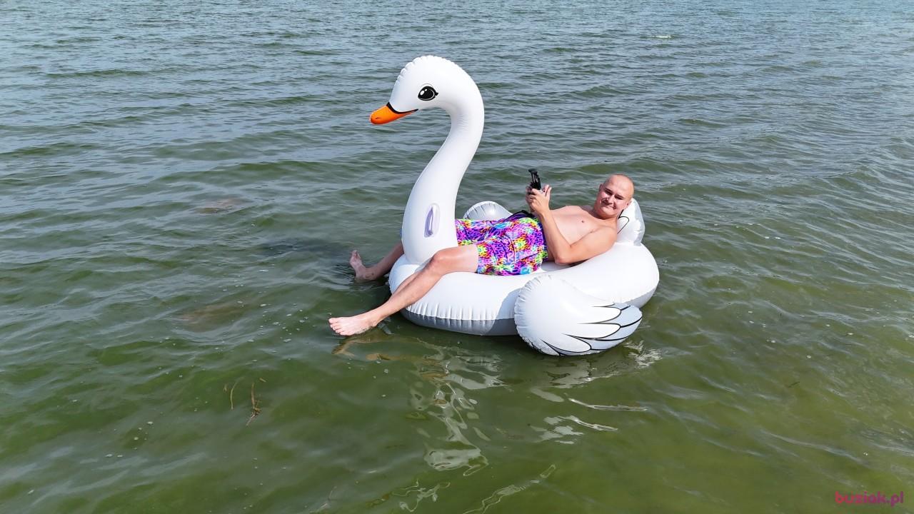 Michał, Mężczyzna, 37, Zgierz, Polska, Zdjęcie: 765