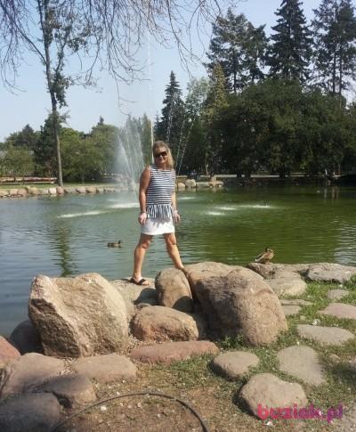 IWONA, Kobieta, 63, Katowice, Polska, Zdjęcie: 2