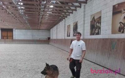 Sebastian , Mężczyzna, 28, Rybnik, Polska, Zdjęcie: 2