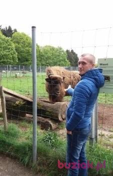 bartas12125, Male, 42, Krotoszyn, Polska, Photo: 4