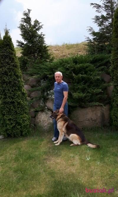 grzegorz, Male, 75, Szczecin, Polska, Photo: 1