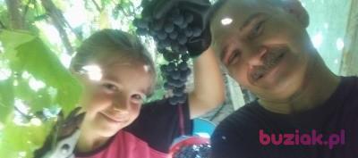 leszek67, Mężczyzna, 59, Łódź, Polska, Zdjęcie: 2