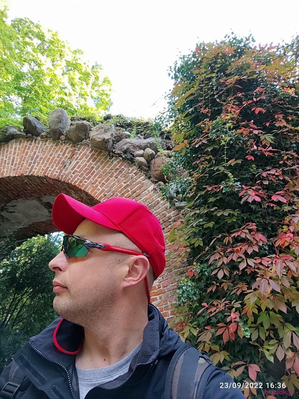 Tomek, Male, 45, Broxbourne, Wielka Brytania, Photo: 3