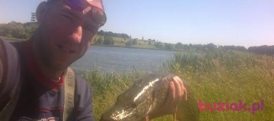 pawelstrzeg, Mężczyzna, 41, Strzegom, Polska, Zdjęcie: 3