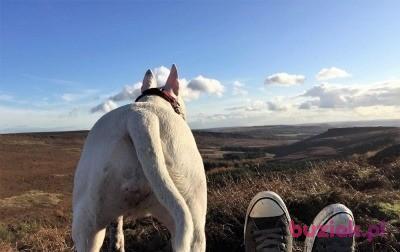 Viking, Male, 47, Sheffield, Wielka Brytania, Photo: 2