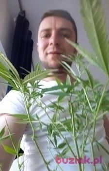Zbyszek, Male, 34, Andrychów, Polska, Photo: 2