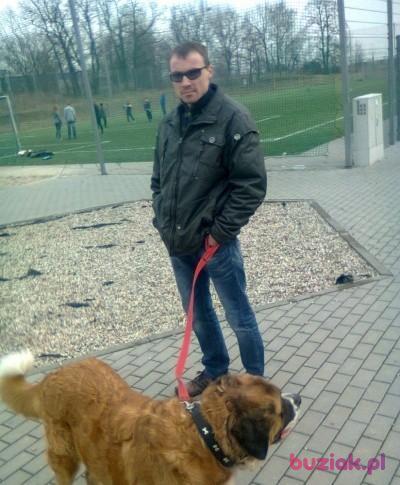 Mirekn, Male, 43, Lubin, Polska, Photo: 4