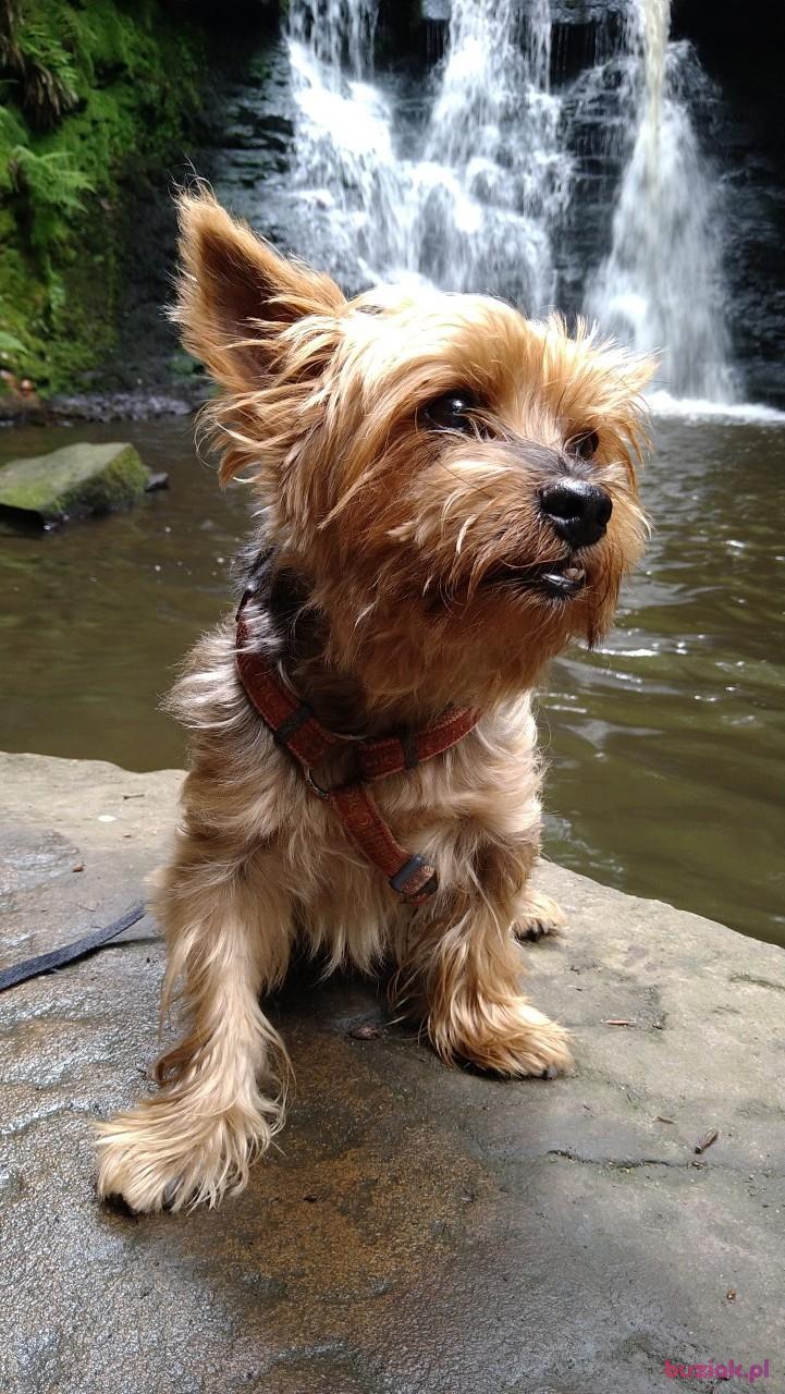 Richard, Male, 44, Bradford, Wielka Brytania, Photo: 6