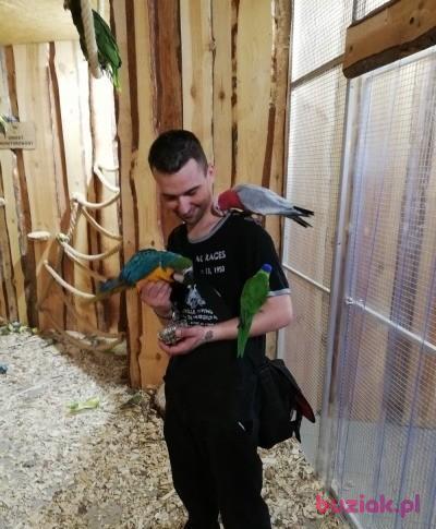 Dominik, Male, 40, Dąbrowa Górnicza, Polska, Photo: 10
