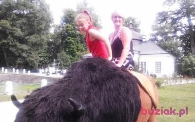 lidia, Kobieta, 54, Sandomierz, Polska, Zdjęcie: 1