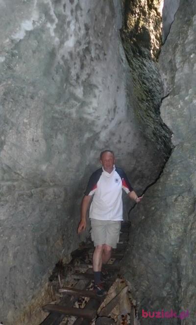 Bogdan, Mężczyzna, 62, Szczecin, Polska, Zdjęcie: 9